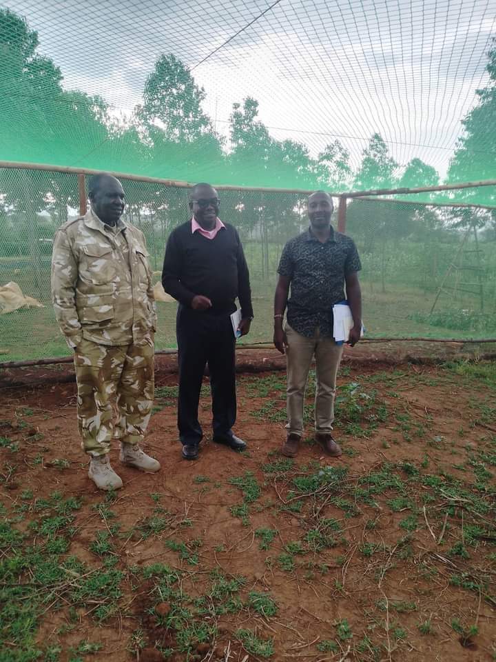Team working in greenhouse facility